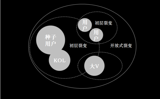 由內(nèi)打破社群裂變，關(guān)鍵在搭好用戶角色結(jié)構(gòu)！