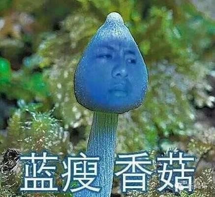 用戶欲罷不能的app拉新活動怎么策劃?