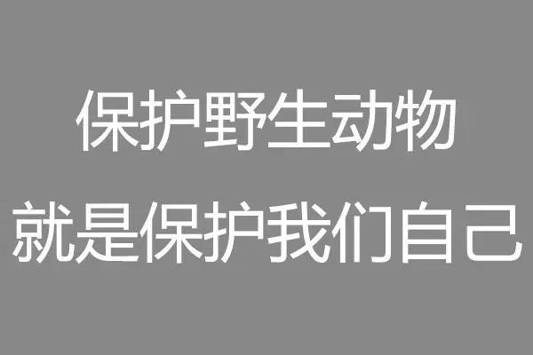 “史上最奇葩的廣告語是哪句？”“垃圾分類，從我做起。”