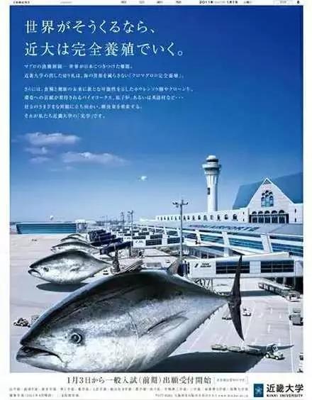 看完這些招生神文案，我又想上大學了