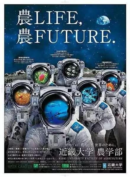看完這些招生神文案，我又想上大學了