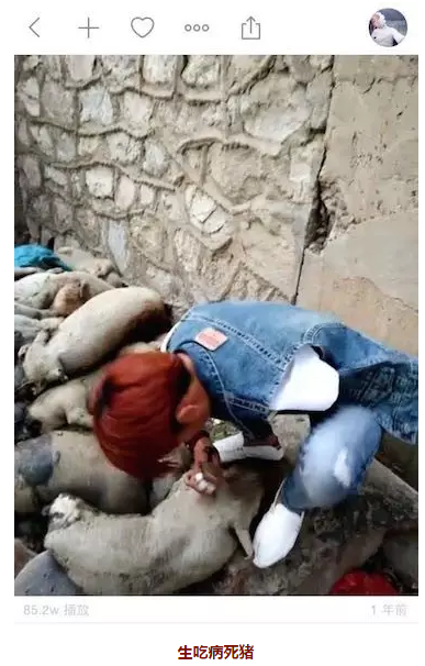 又愛又嫌的快手，三俗不止?fàn)幾h不歇