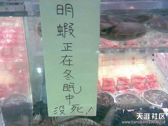 月薪30000的文案，都坐在水果攤、食堂窗口和宿舍里…