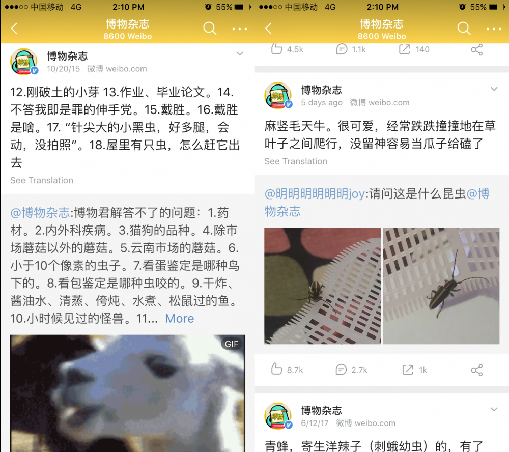 當(dāng)企業(yè)自媒體泛濫，還有什么可以破局？