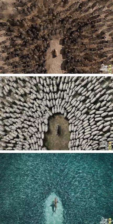 廣告人腦洞訓(xùn)練 ：100張“燒腦”平面廣告
