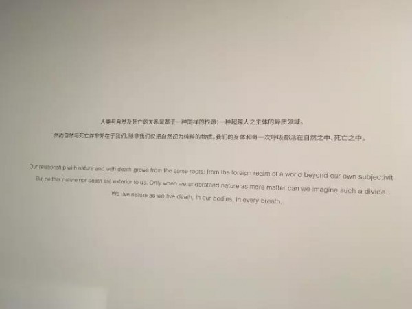 展覽里的這些文案，比藝術(shù)品還好看。