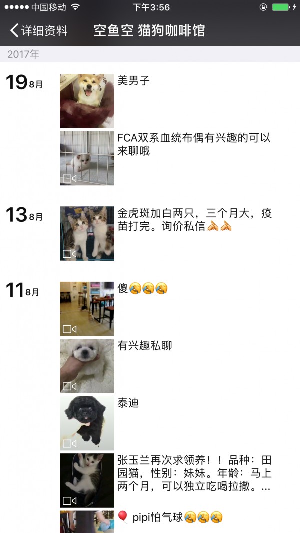 吸貓營銷全釋義！看完覺得自己豬狗不如……