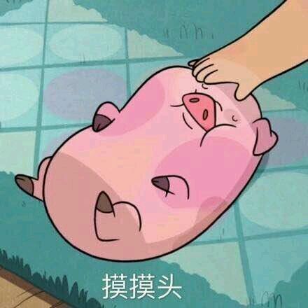 吸貓營銷全釋義！看完覺得自己豬狗不如……
