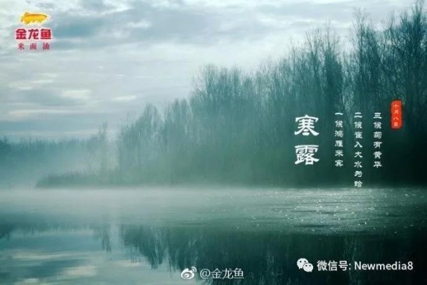 2017寒露借力視覺創(chuàng)意案例集