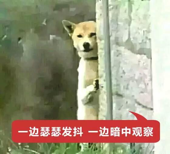 賣(mài)家在快遞單上的花式作死留言，這樣寫(xiě)我不要面子的啊？
