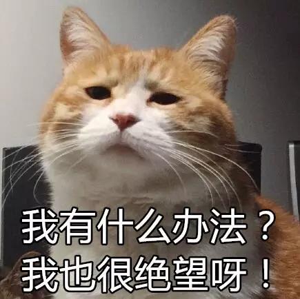創(chuàng)意|日清吃面神器，服氣！