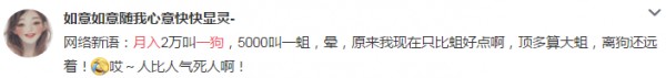 新的一年，你依舊是“月入不足一狗”的“不狗言笑人士”么？