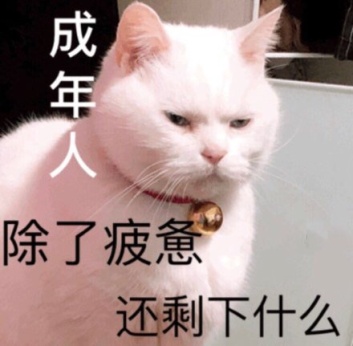 鉑爵旅拍剛走,哈啰順風車洗腦廣告又來了??。? /></p>
再回想起之前的鉑爵旅拍,哦對了,沒復習的伙伴可以戳下方視頻,