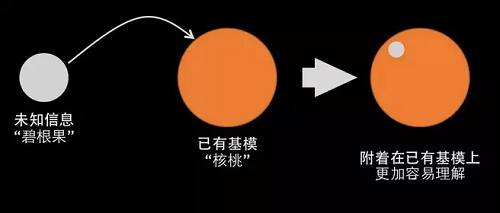 信息流